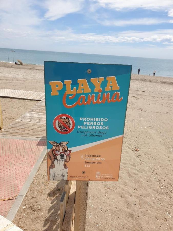 דירות פואנגירולה Bravo 24 מראה חיצוני תמונה